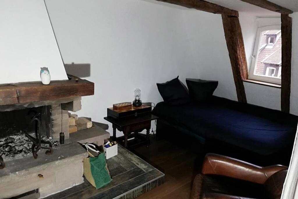 La Chaumiere Apartment Strasbourg Bagian luar foto