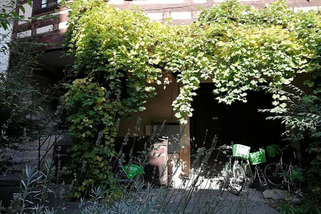 La Chaumiere Apartment Strasbourg Bagian luar foto